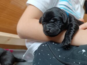 IMG_20250304_153052