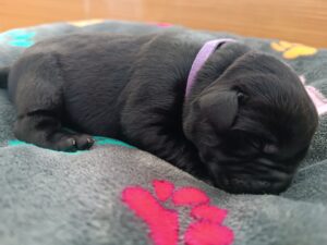 IMG_20250306_103820
