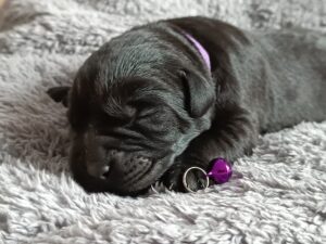 IMG_20250308_160625